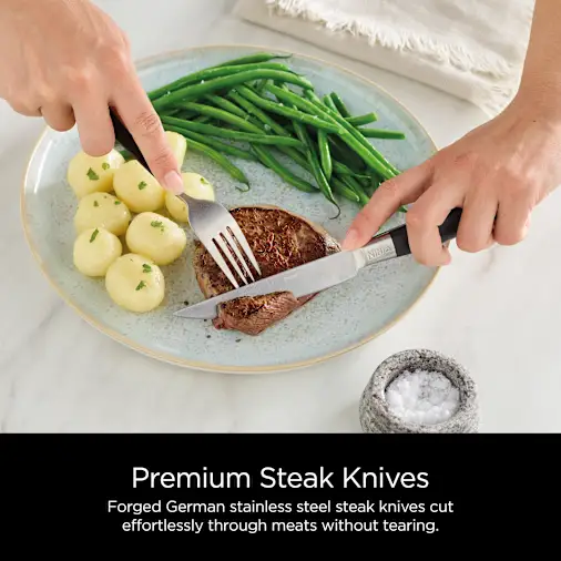 Ninja NeverDull? 17-Piece Premium Knife System