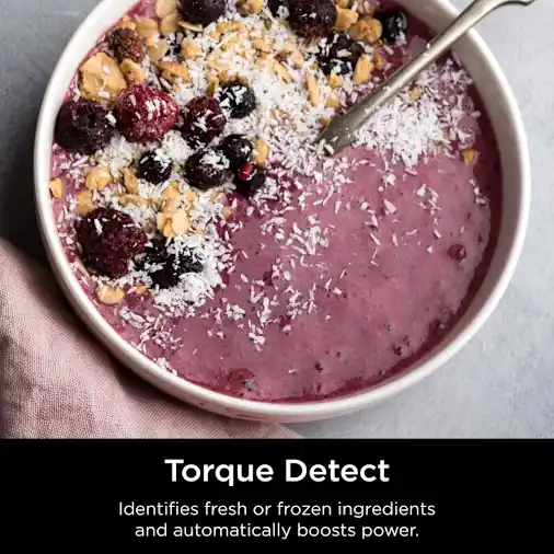 Ninja Detect? Duo? Power Blender Smoothie Maker with BlendSense?