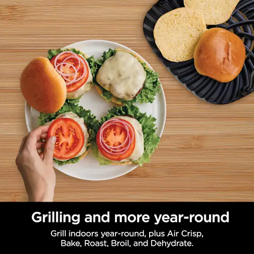 Ninja? Foodi? 6-in-1 Indoor Grill & 4-Quart Air Fryer with Ninja ProChef? Wireless Thermometer