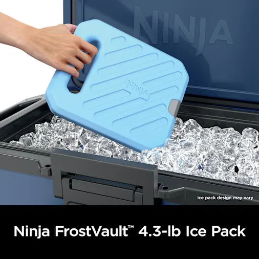 Ninja FrostVault? 4.8lb. Ice Pack