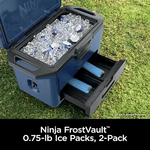 Ninja FrostVault? 0.7lb. Ice Packs, 2-Pack